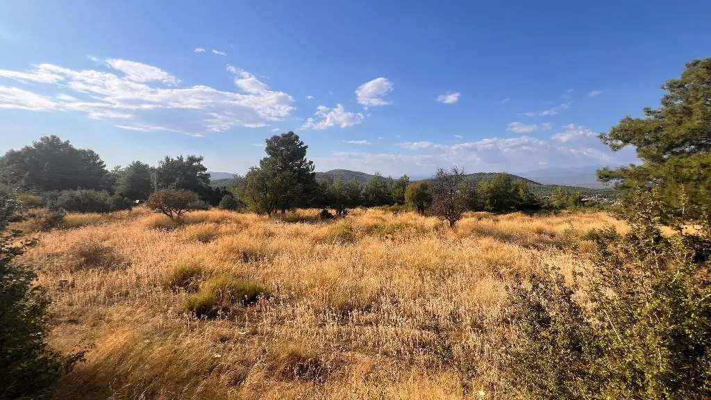 Land in Ovacik for sale
